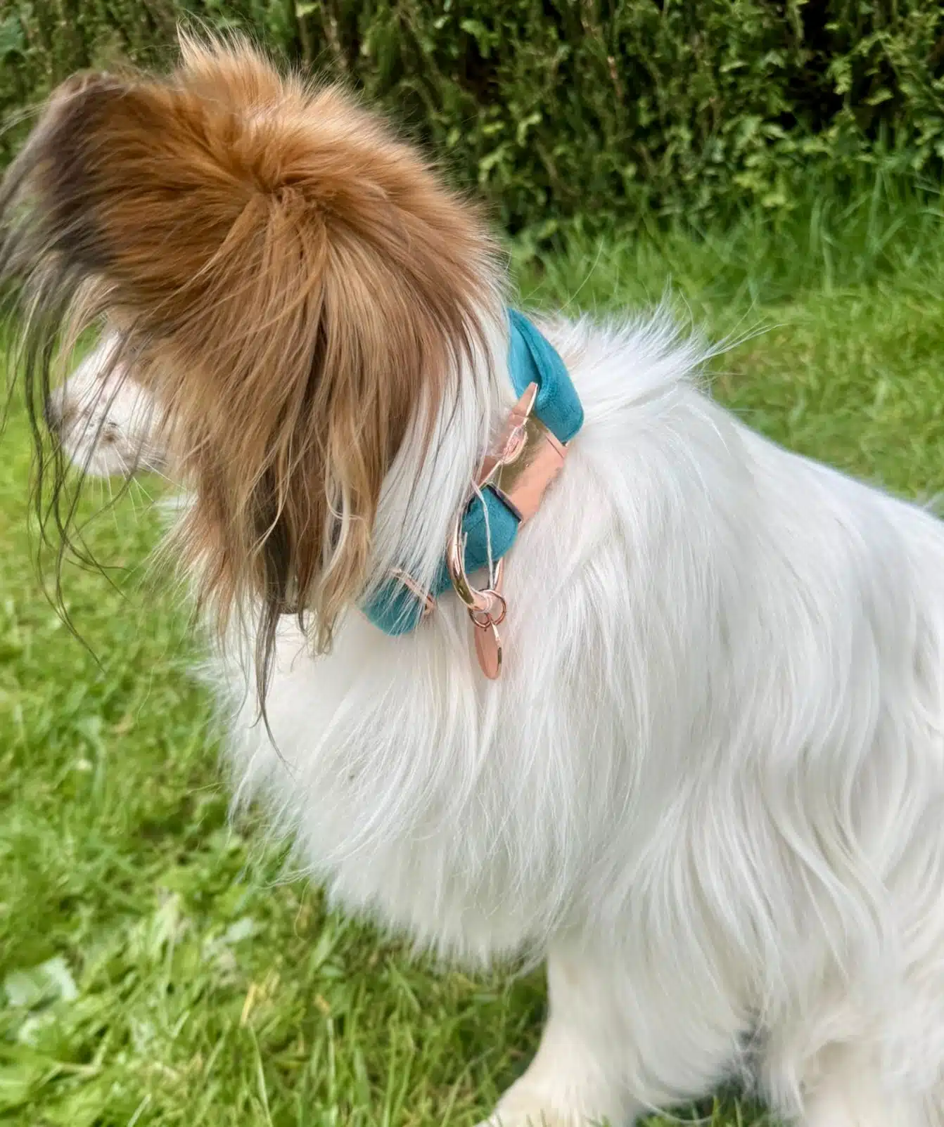 Collier Jade velvet – Image 2