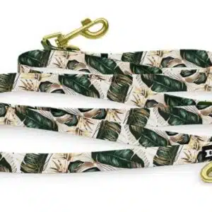 Laisse feuille Obodog