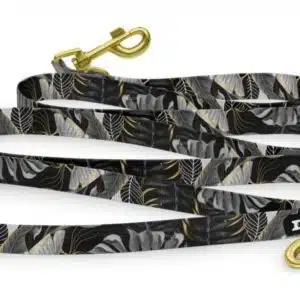 Laisse Onyx Obodog