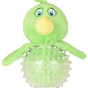 Canard vert