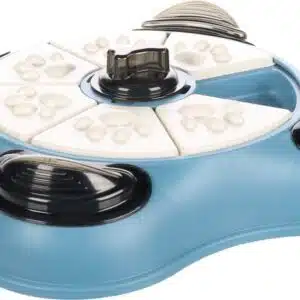 Jeu d'intelligence brain train