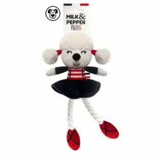 Caniche ballerine Blanche