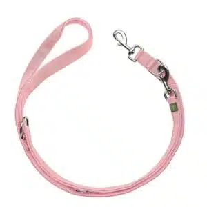 Laisse Divo up rose