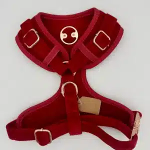 Harnais Ruby velvet