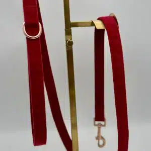 Laisse Ruby velvet