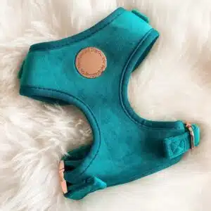 Harnais Jade velvet