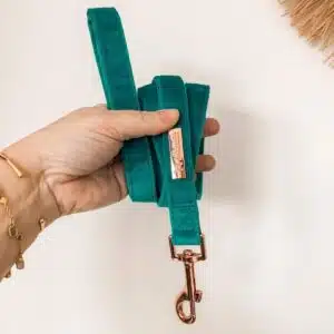 Laisse Jade velvet