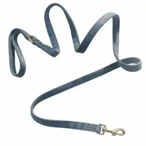 Laisse Petrol velvet