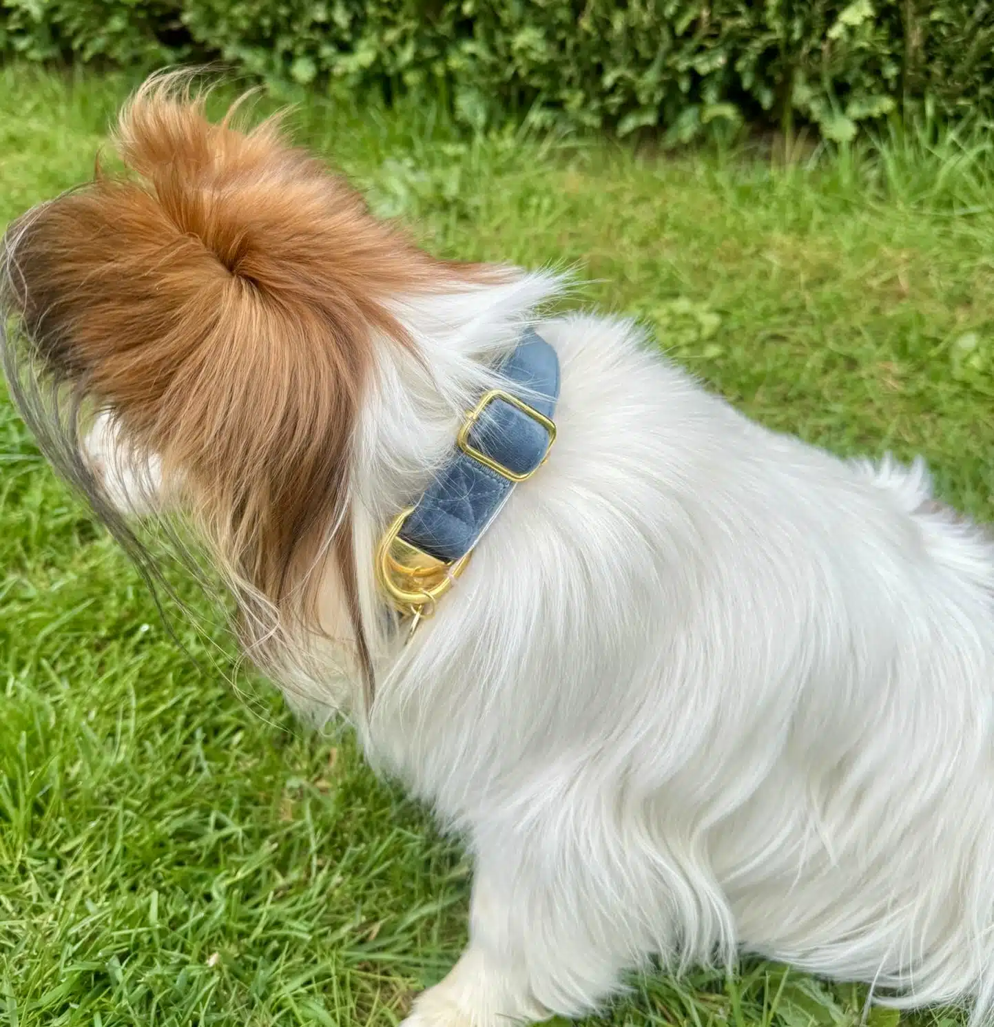 Collier Petrol velvet – Image 2